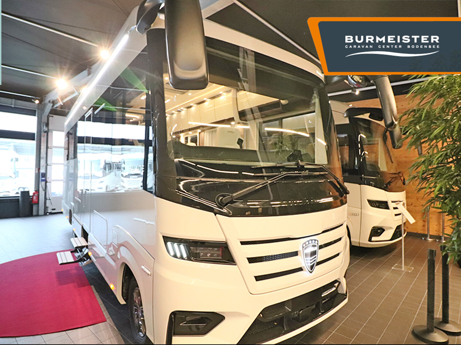 Morelo Palace 88 LB, Trend LP 418.130,- 2025